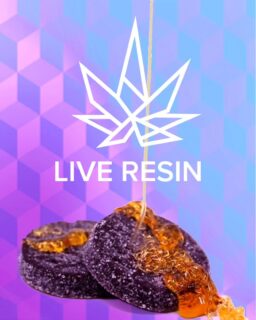 Have your tried our new #liveresingummy yet? We have Peach, Tropical Smoothie, and Raspberry Lemonade. Always hand made in small batches. Always as much live resin as we can get into a gummy.
#levitateyourday #michigancannabis #levitategummies #levitateliveresin #sativa #indica #hybrid #cannabiscommunity